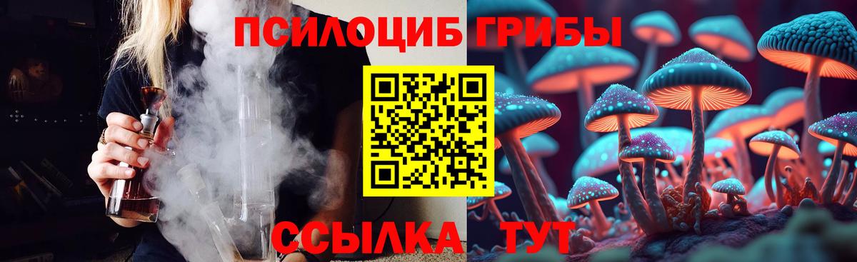 Каменск-Шахтинский  Псилоцибиновые грибы Psilocybe  Вход с VPN  Галлюциногенные грибы Magic Shrooms 